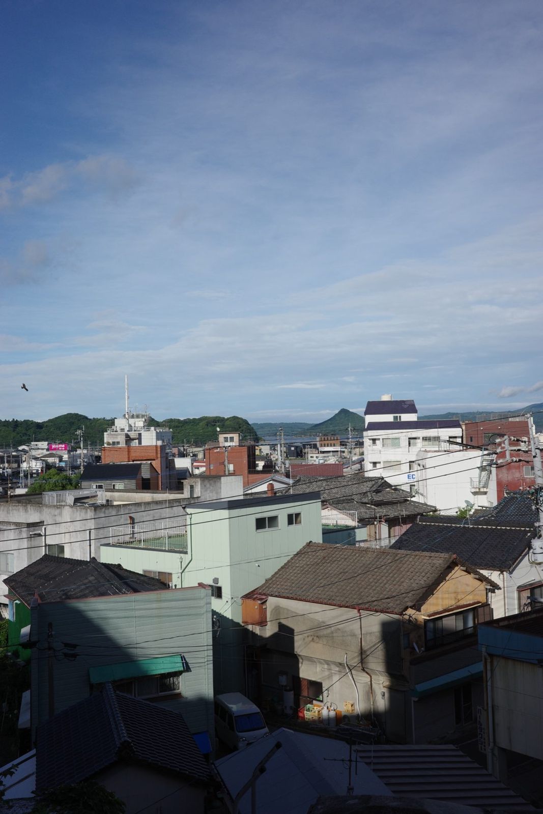 高台から見下ろす瓦屋根の町並みと、その先の海